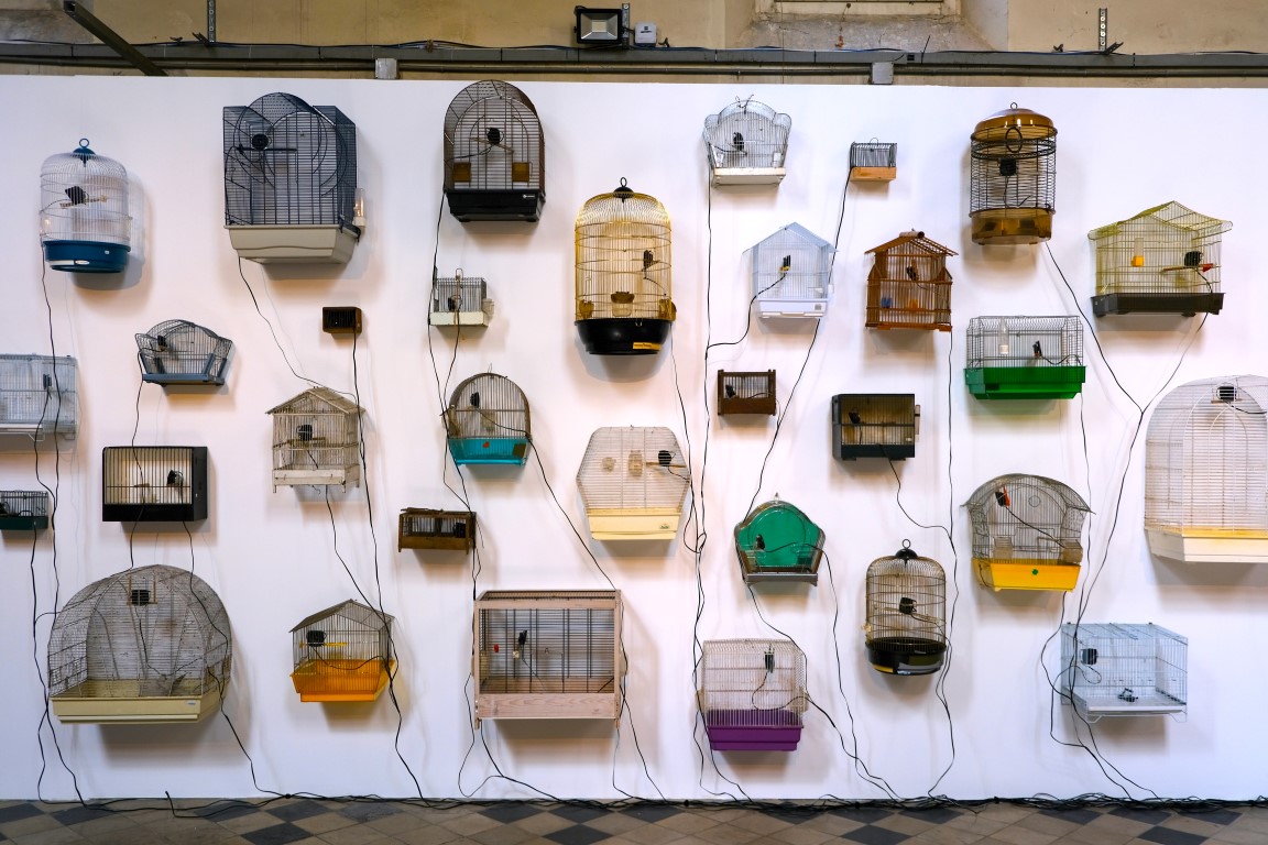 DSCF1018-1 (glissées) (Medium).jpg (223 KB)